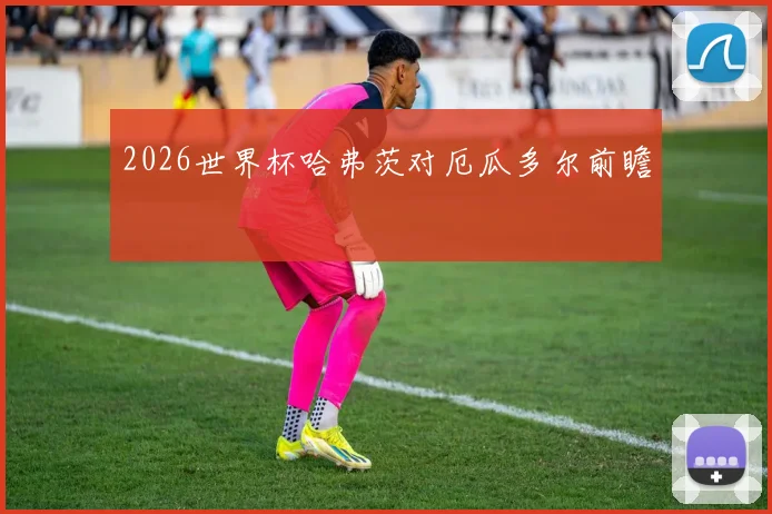 2026世界杯哈弗茨对厄瓜多尔前瞻