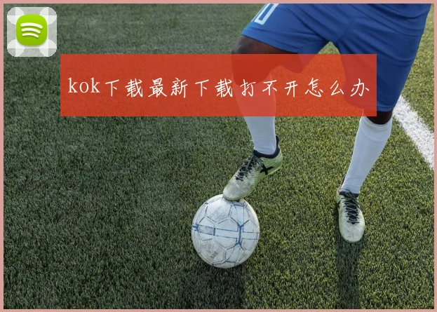 kok下载最新下载打不开怎么办