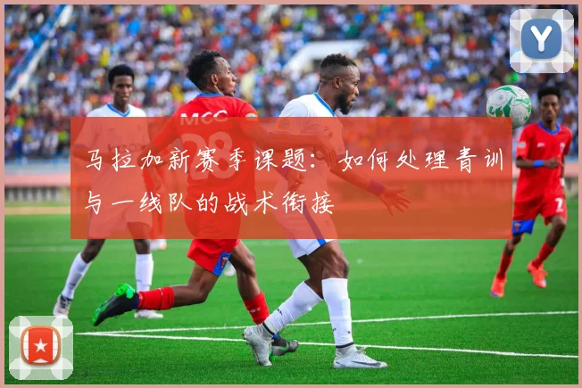 马拉加新赛季课题:如何处理青训与一线队的战术衔接