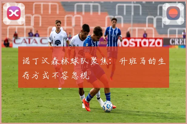 诺丁汉森林球队聚焦：升班马的生存方式不容忽视